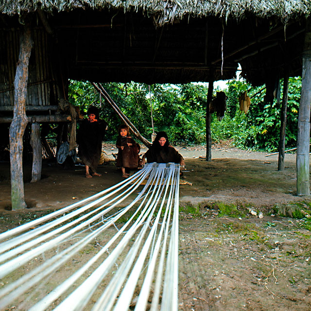 Ashaninka tribe woman weaving cotton on a loom