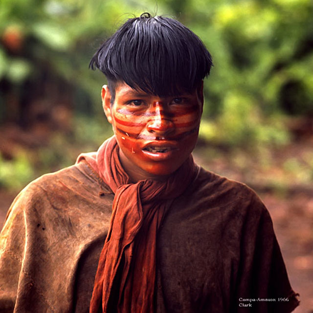 Campa Indian Man in the Amazon Rainforest - 1966