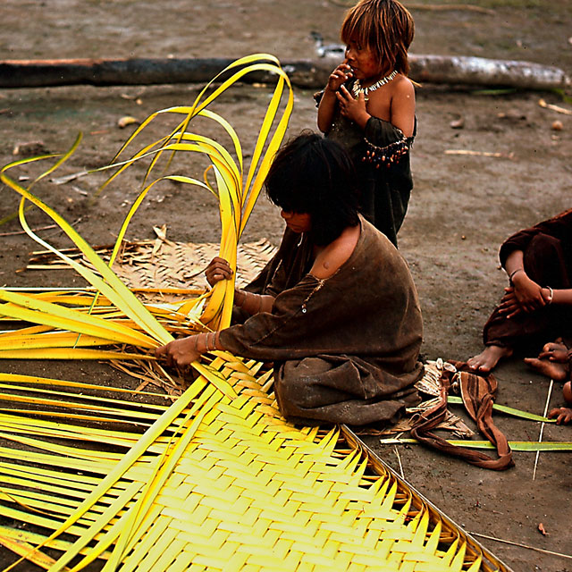 Ashaninka Girl Weaving Palm Leaves