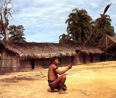 Yanomami Bow and Arrows