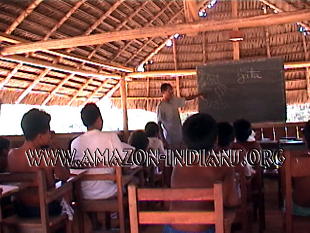 Indigenous Schools | Amazon Indian Survival