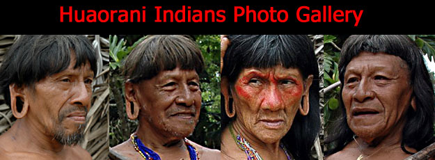 Photographic Gallery of the Huaorani Tribe