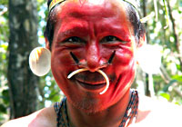 Matis Indian Chief