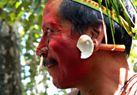 Amazon Indian Shaman