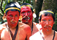 Queixada | Amazon Indian Ceremony
