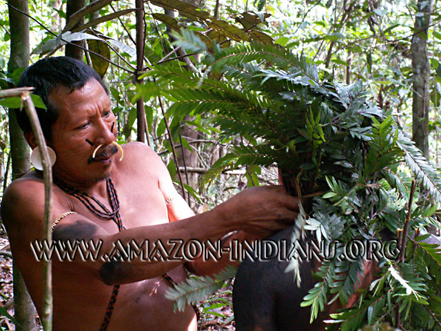 Amazon Indian Tribe