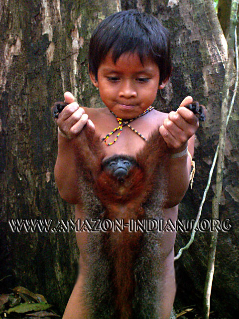 Matis Indian Boy | Monkey