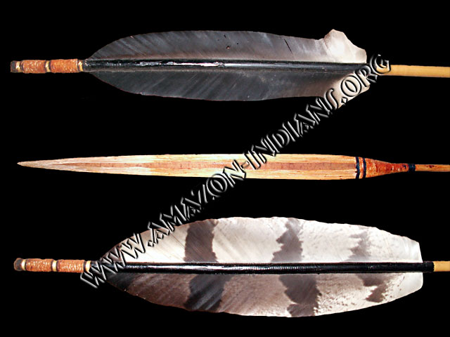 Amazon Native Arrows