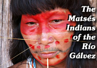 Amazon Indian Tribe - Matses