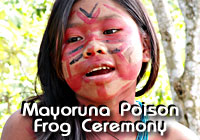 Mayoruna Poison Frog Ceremony