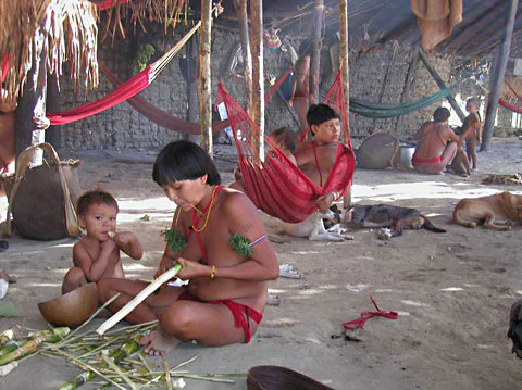 Yanomami Shabono