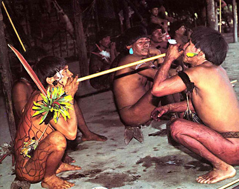 Yanomami Yopo